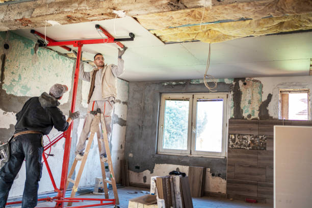 Best Blown-in Insulation  in Oakland, MO