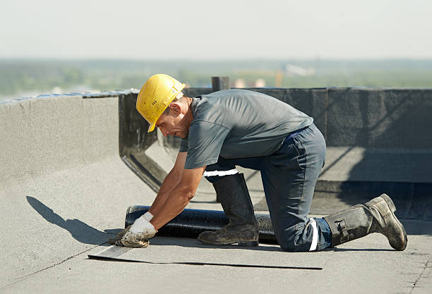 Best Insulation Contractors for Homes  in Oakland, MO